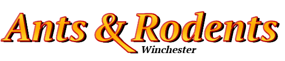 Winchester Ant Exterminator & Rodent Control Company Logo